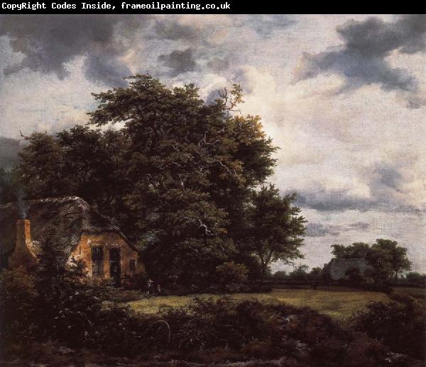 Jacob van Ruisdael Cottage under the trees near a Grainfield